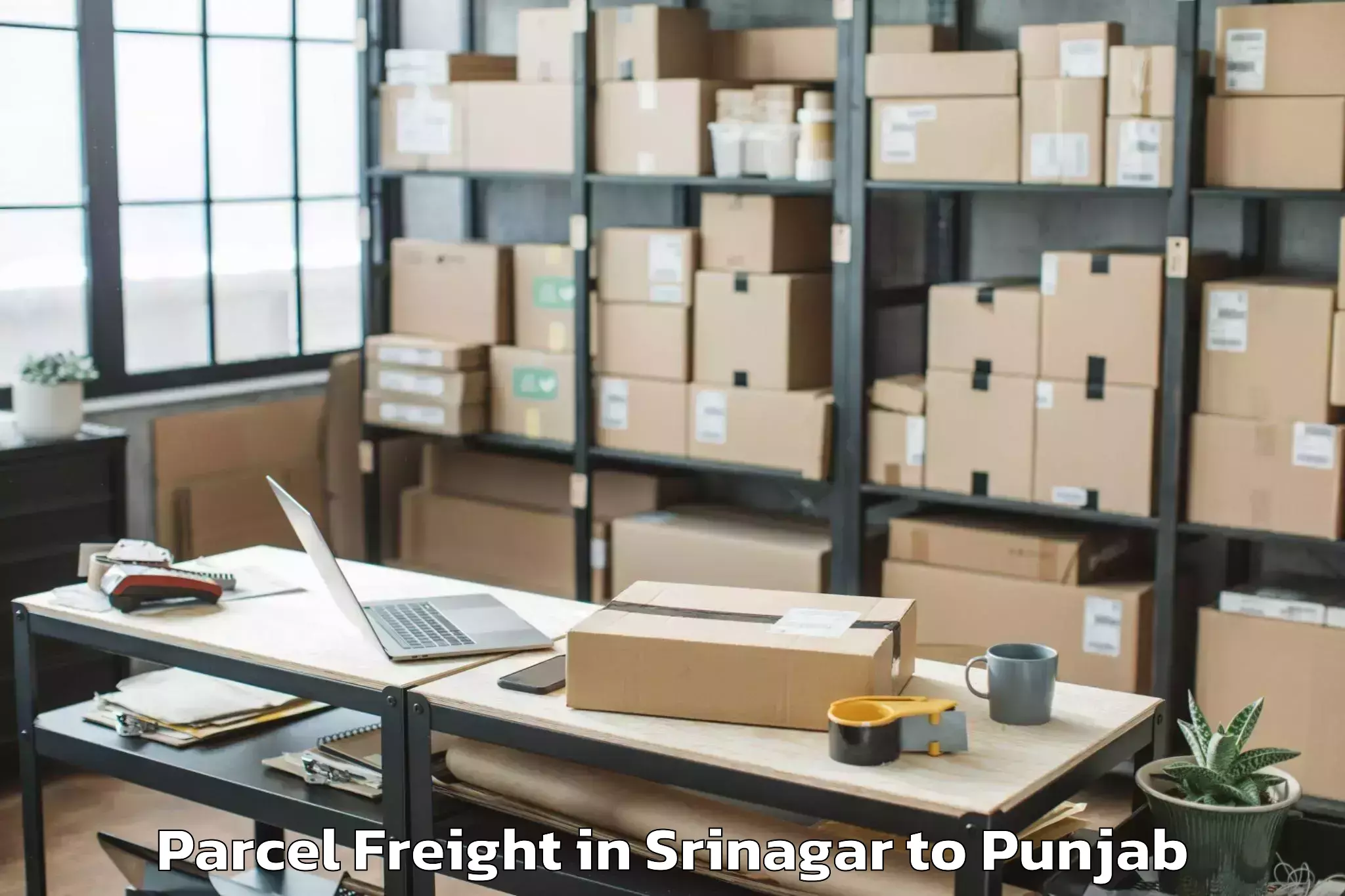 Leading Srinagar to Sunam Parcel Freight Provider